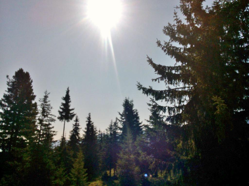 Ferienwohnungen Lemberger Krimml Dış mekan fotoğraf